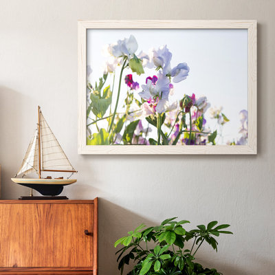 " Spring Blooms "