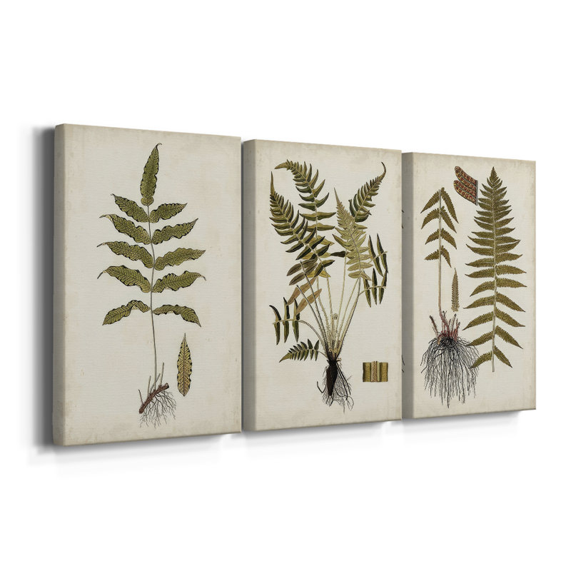 Fern Botanical III - Toile tendue avec châssis sur mesure - 3 pièces, H 48 po x l 96 po