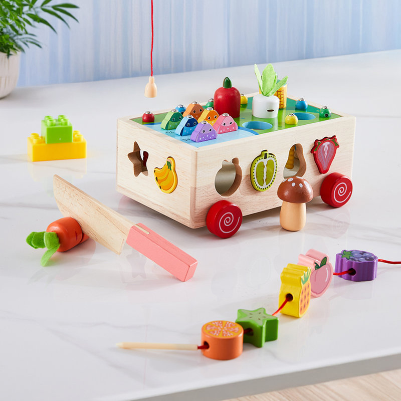 Shape Sorter Toys Set