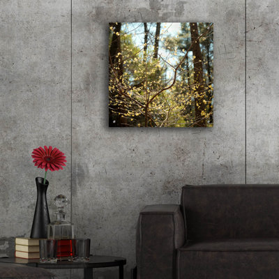 " Spring " by Kelly Sinclair