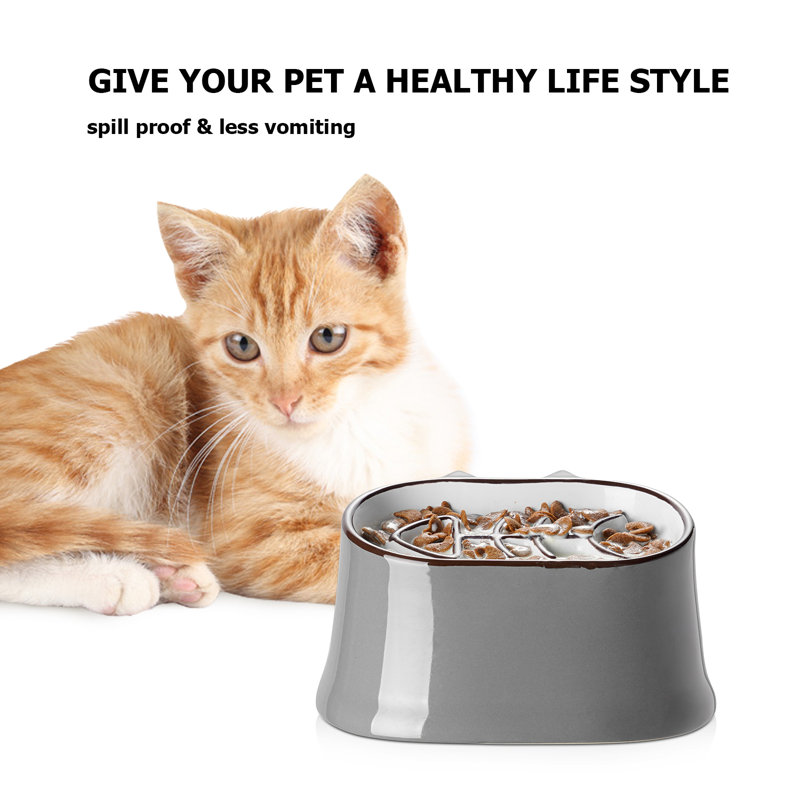 Slow Feeders Cat Dish To Slow Eating Too Fast Cat Dish Slow Down