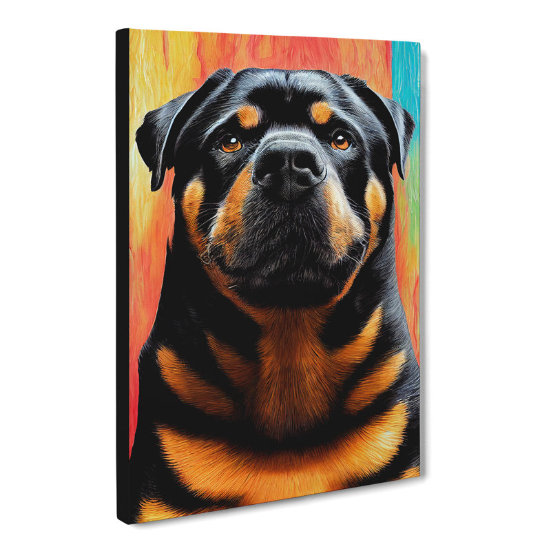 Rottweiler In Colour - Wrapped Canvas, 50cm H x 35cm W x 3cm D