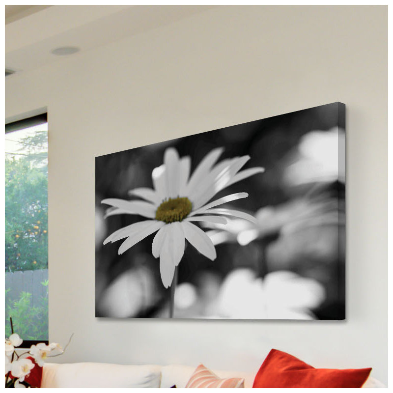 «Sun Speckled Daisy», reproduction d'art sur toile tendue, 20 po x 30 p