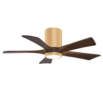 Irene 5 - Blade LED Ceiling Fan with Light Kit Included