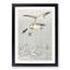 Wild Ducks in Flight by Ohara Koson - Framed Print-55612324-55612334