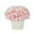 Rose pastel