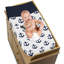 Housse de matelas à langer Sailor