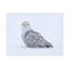 Young Feng Quoi? Art sur toile-109334803