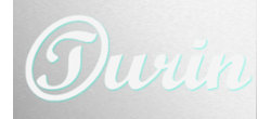 Logo Turin