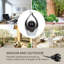 Outdoor Sculptural Fountain with Lights