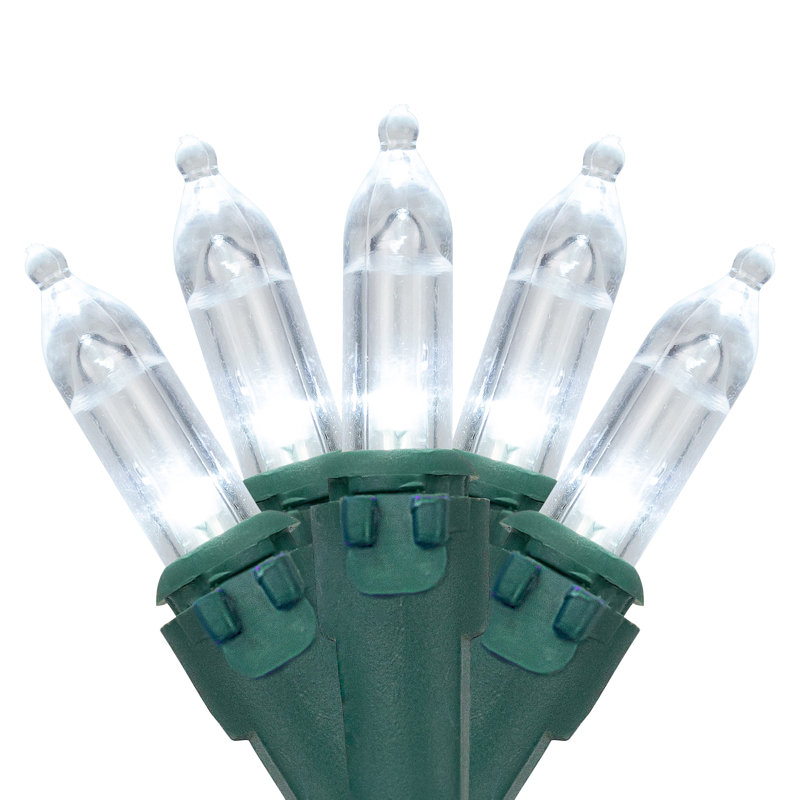 Guirlande de 100 lumières DEL, Blanc parfait / vert, 35
