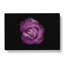 Purple Rose In The Shadows In Abstract - Wrapped Canvas Print-55341186