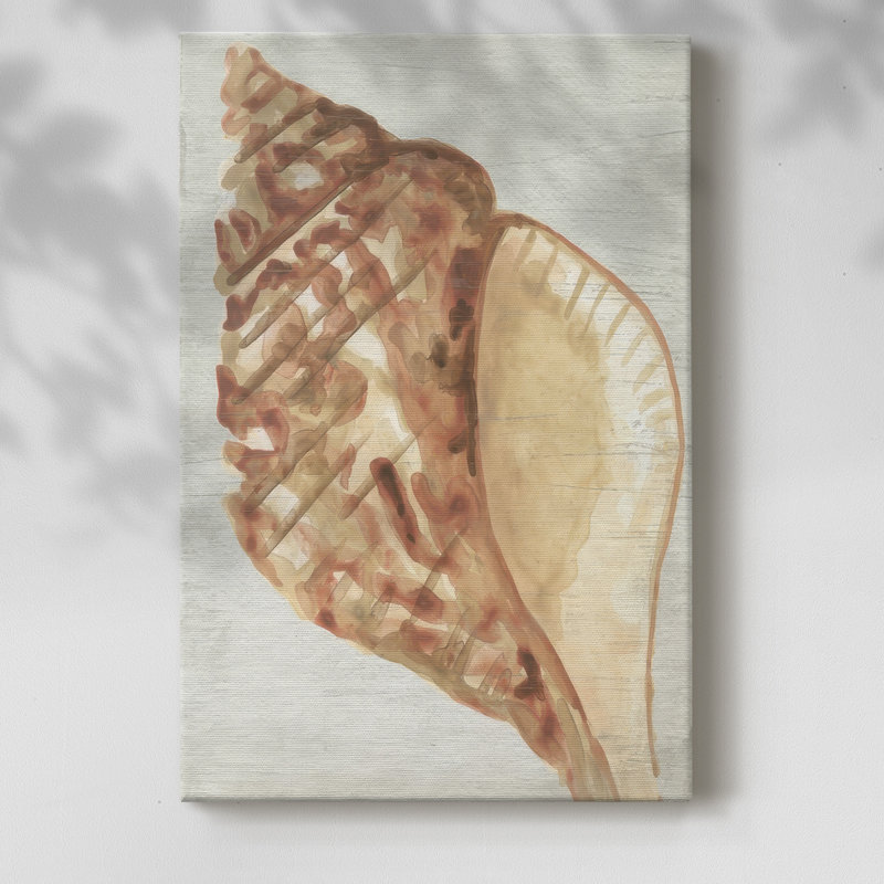 «Vintage Shell Vignette IV» - galerie enveloppée de cavas, H 48 po x l 32 po