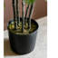 Plante pilea artificielle 26,4 po en pot