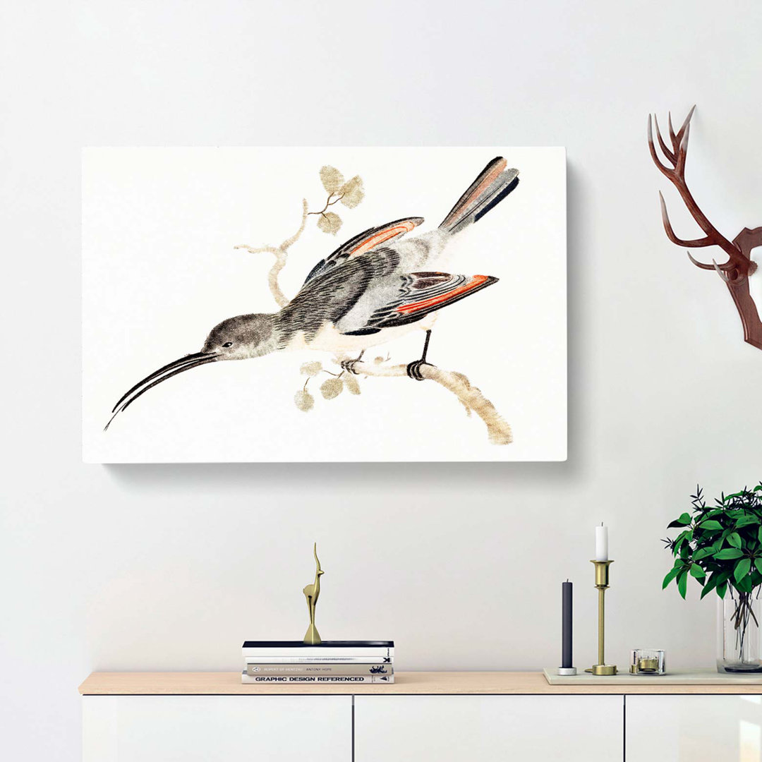 Hummingbird by Johan Teyler - Wrapped Canvas