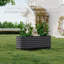 Raised Garden Bed-367231865-367231864