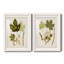 Feuilles antiques V - ensemble de 2 reproductions d'art sur papier encadré-716050344-716050351
