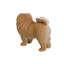 Statue debout de chow-chow debout