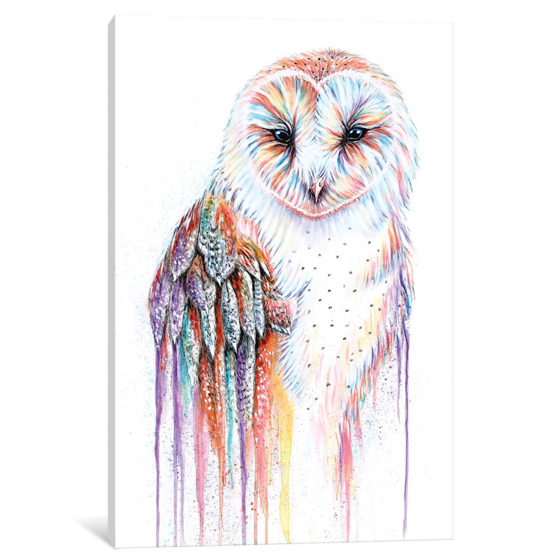 Peinture sur toile tendue Barred Rainbow Owl, H 12 po x l 8 po x P 0,75 po