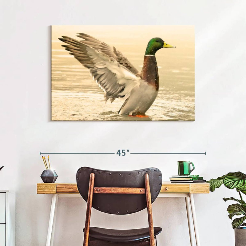 Canard colvert majestueux Brampt, H 26 po x l 39 po