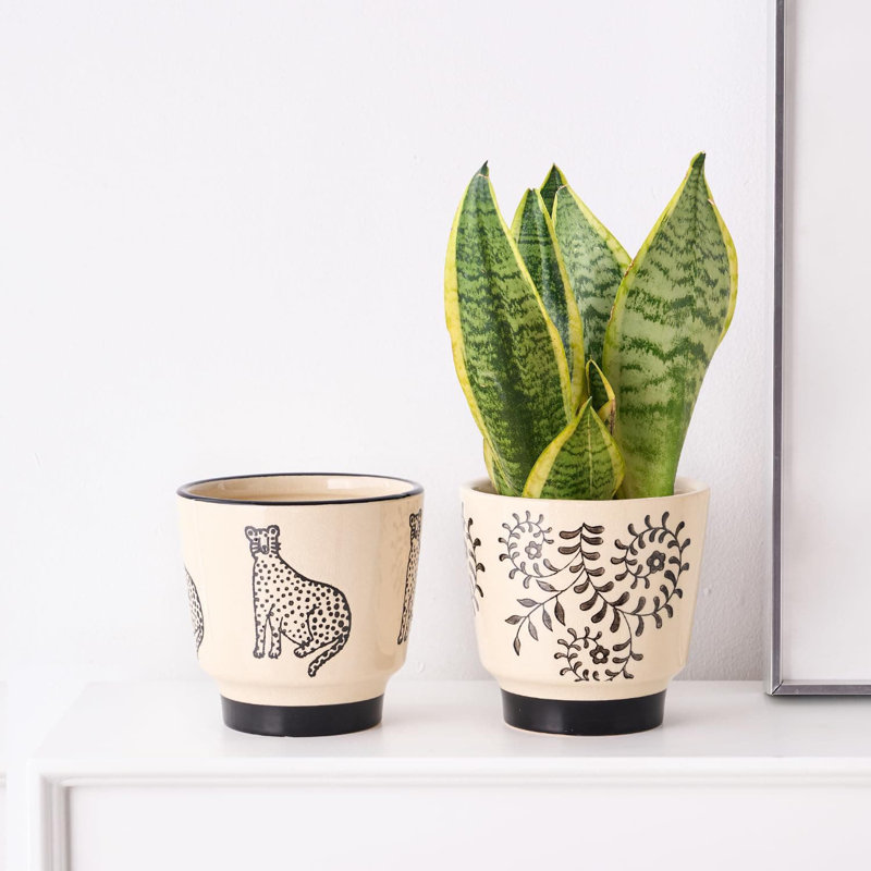 Ceramic Pot Planter