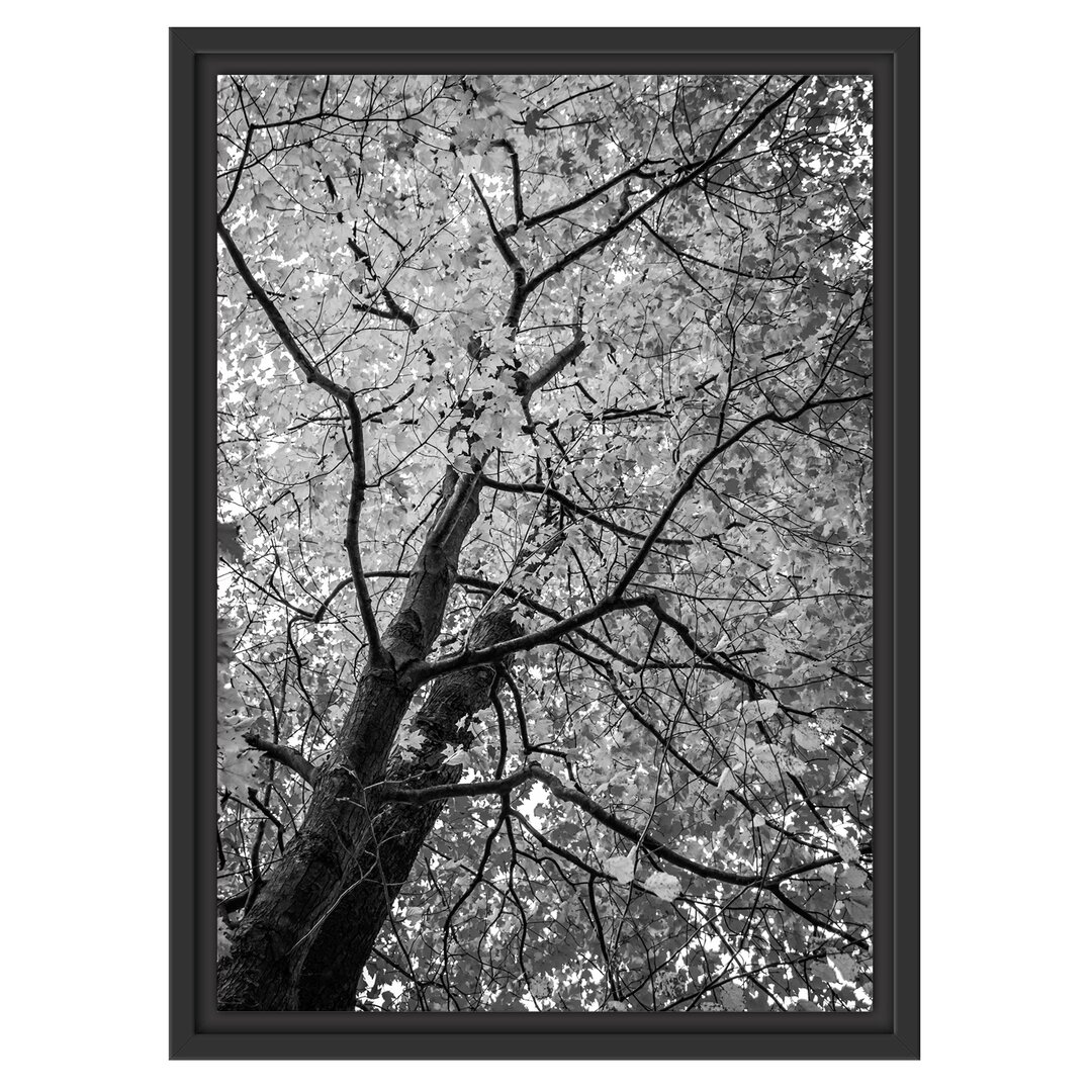 Gerahmtes Wandbild Feurige Herbstblätter Kunst B&W