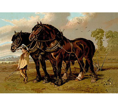 Clydesdale Stallion and Mare by Samuel Sidney Painting Print