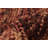 Mulvey Wool Indoor Rug