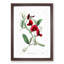 Red Tangier Pea Flowers - Picture Frame Painting Print-55616674-55616675