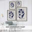 Indigo Botanical Study I, reproduction encadrée - bois massif 46425-807143438