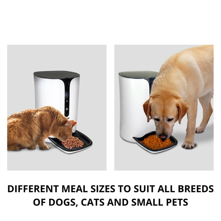 Lentek Programmable Five Meal Pet Dish with Voice Message