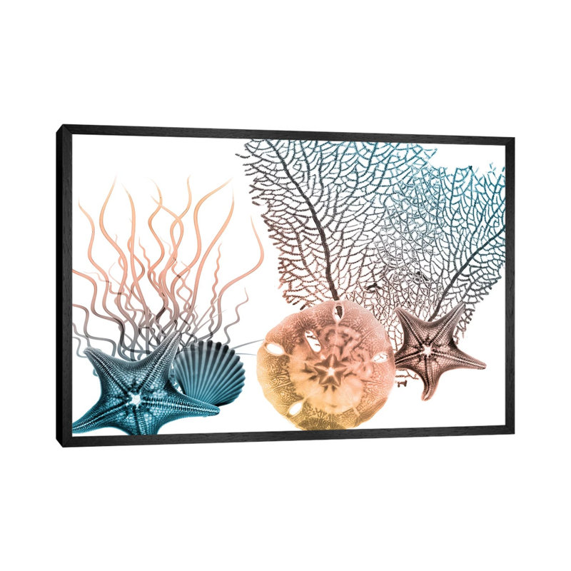 Sea Collective III by Albert Koetsier - Print on Canvas, 45.72cm H x 66.04cm W x 3.81cm D, Black Framed