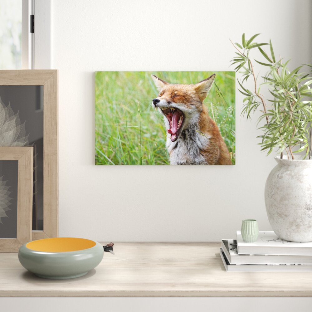 Leinwandbild „Müder Fuchs auf Wildwiese" von martha de jong-lantink, Fotodruck