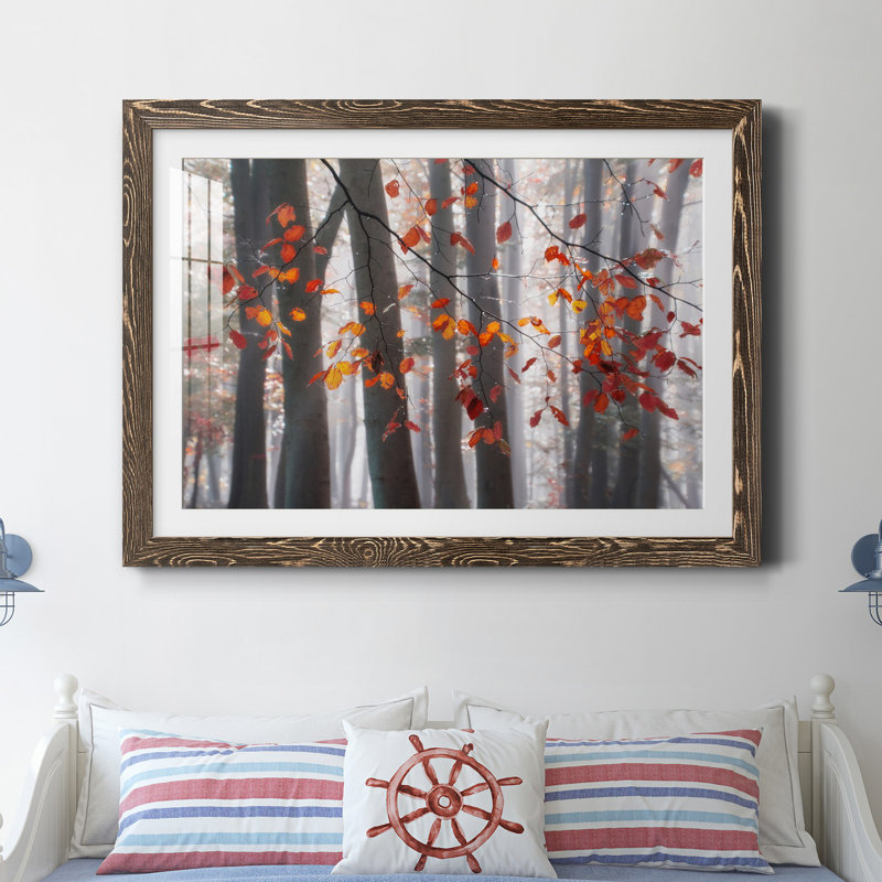 Falling Moments - Reproduction de photo sur papier encadrée, Papier, cadre noyer, H 31,5 po x l 23,5 po x P 1,5 po