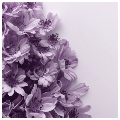 Édredon mauve à fleurs d'anémone