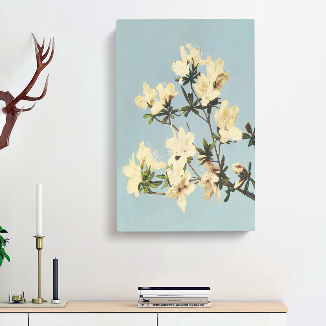 Japanese Azaleas by Ogawa Kazumasa - Wrapped Canvas