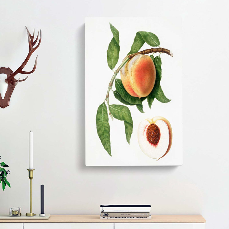 Juicy Peach Tree by Giorgio Gallesio - Wrapped Canvas, 60cm H x 40cm W x 3cm D