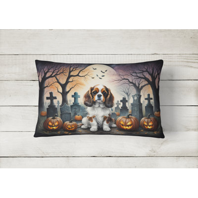 Other/No Pattern Outdoor Throw Pillow