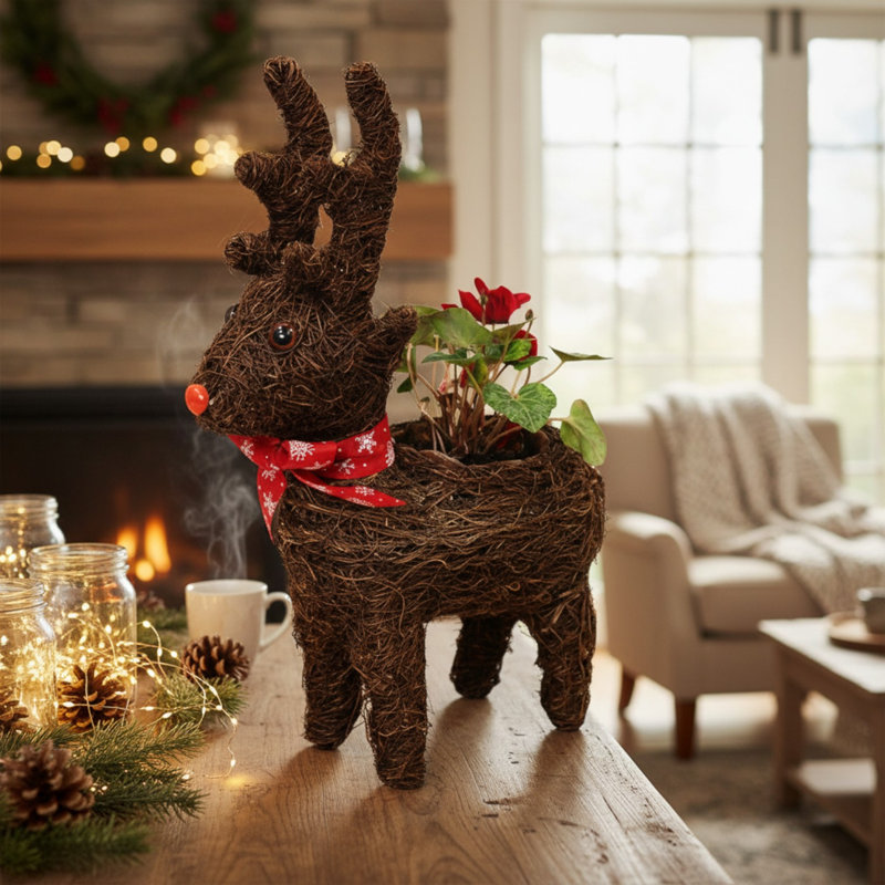 Indoor / Outdoor Pot Planter