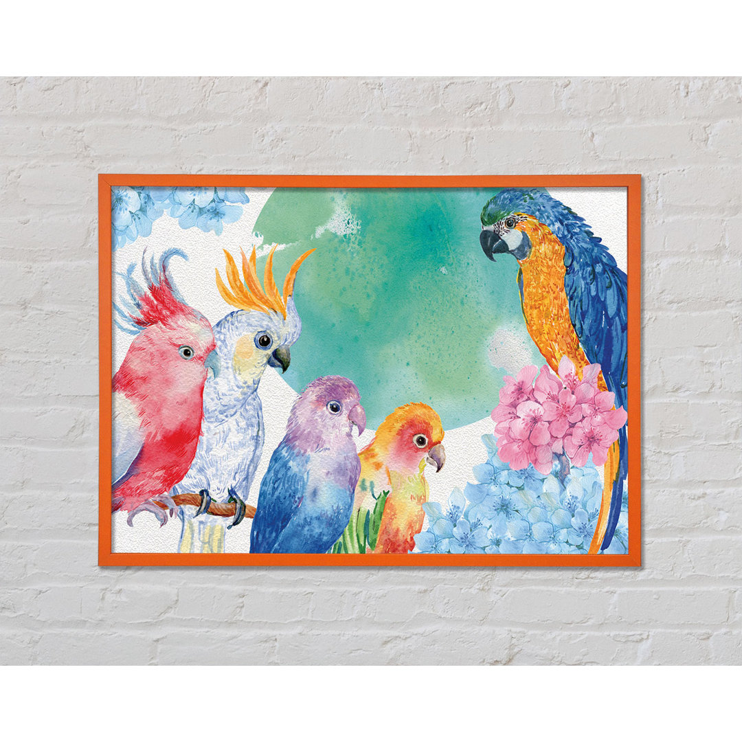 Array of Watercolour Parrots - Einzelne Bilderrahmen Kunstdrucke