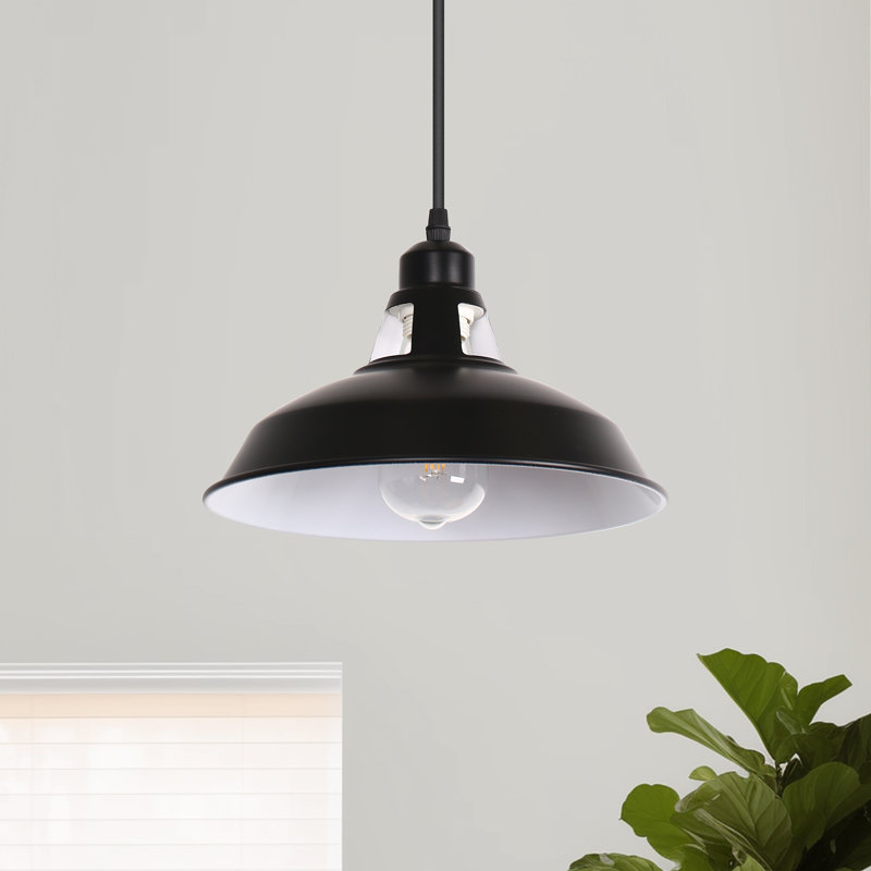 Aparajita 16.4 FT. Cord 1 - Light Plug In Pendant Light With On/Off Dimmer Switch, Matte Black