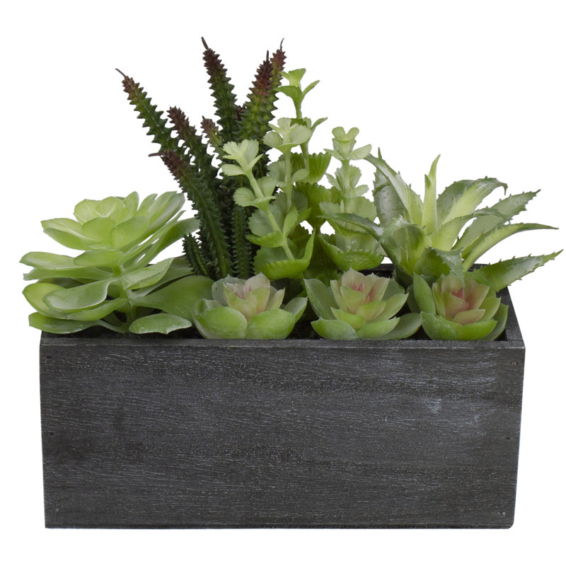 Artificial Green Succulent Arrangement in Black Wooden Planter