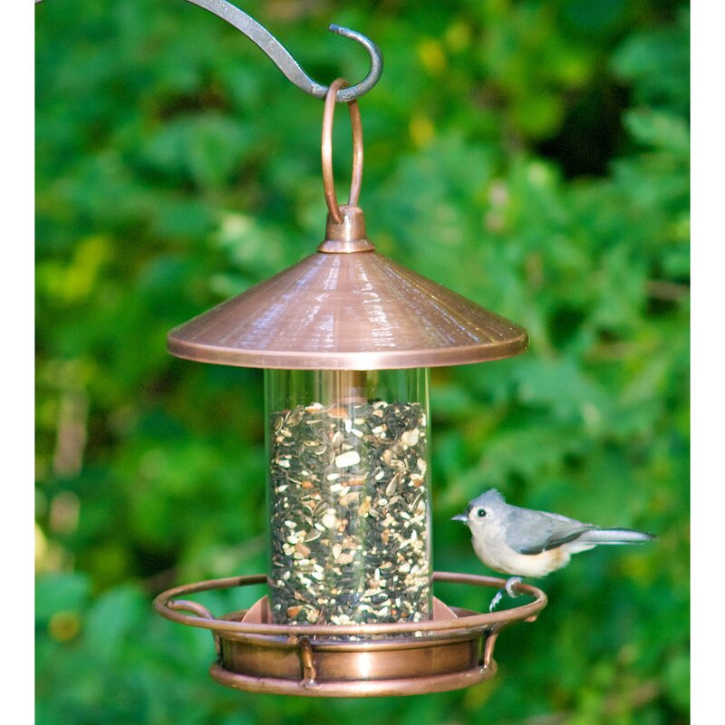 Red Barrel Studio® Barmen Classic Perch Tube Bird Feeder & Reviews ...