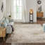 Francess Hand Knotted Oriental Area Rug in Tan-404977066