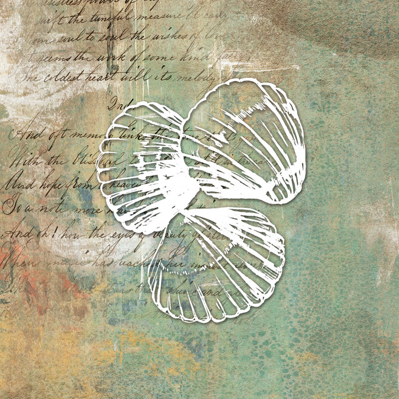 Distress Sea Shell 1 - Wrapped Canvas Painting, 76cm H x 76cm W x 3.8cm D