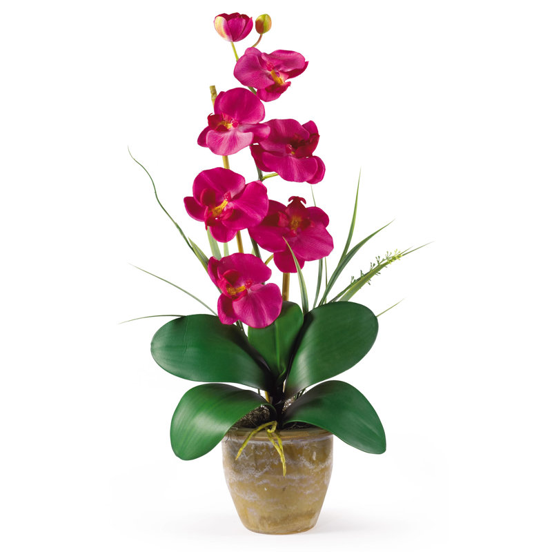 Arrangement floral orchidée en soie phalaenopsis en pot, Beauté