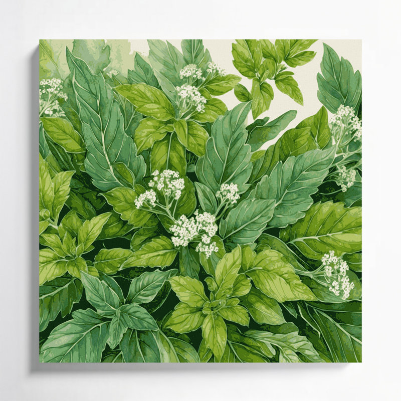 Art mural botanique sur toile vert Origan, H 16 po x l 16 po