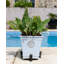 Patsy Stone Weather Resistant Planter Feet