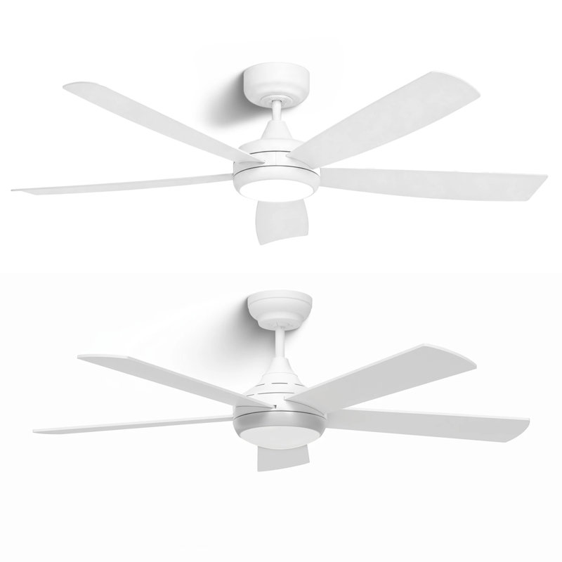52 " Ceiling Fan, Walnut, Walnut