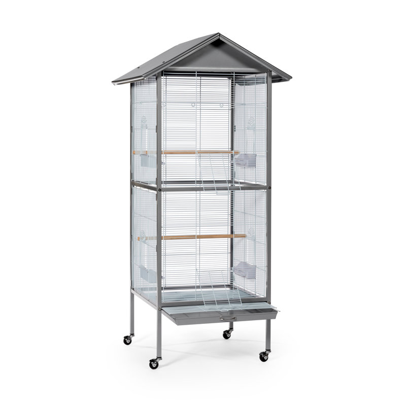 Cage de vol en acier avec roulettes, support, perchoir, plateau, Gris, H 66,75 po x l 23,5 po x P 23,625 po